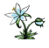 Silent princess flower on a neutral background. 